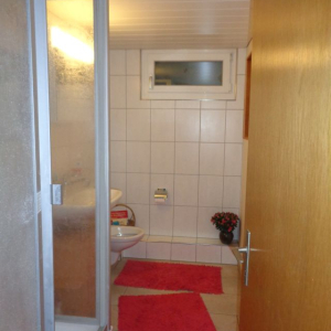 Sanierung EFH Rüfenach AG