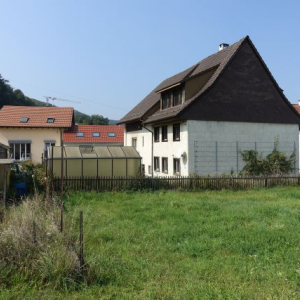 Rckseite   Vorher.jpg